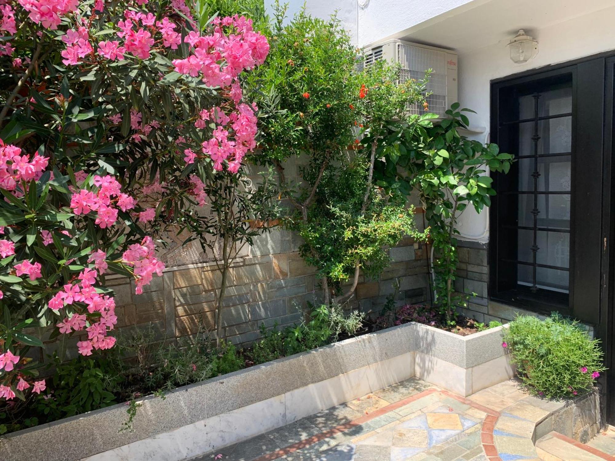 Gemuetliches Appartement In Ano Poli Thessaloníki Ngoại thất bức ảnh